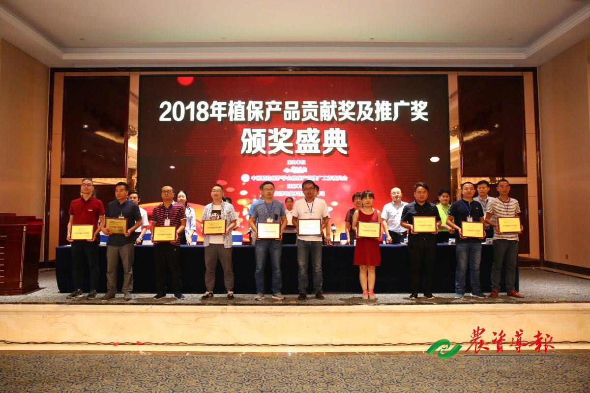 BrightMart Array image115