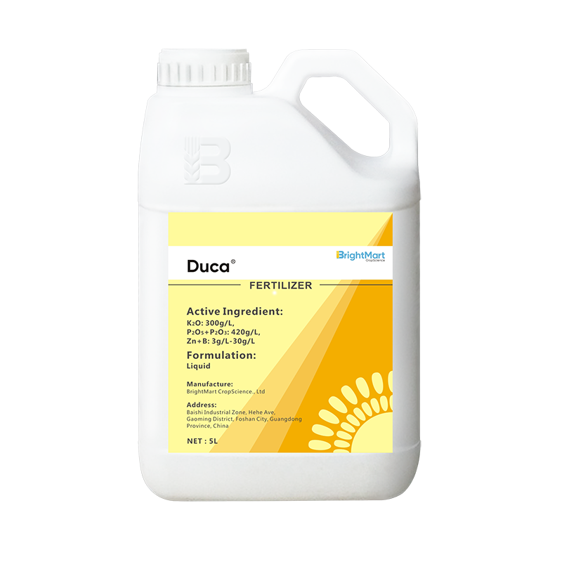 BrightMart Array image29