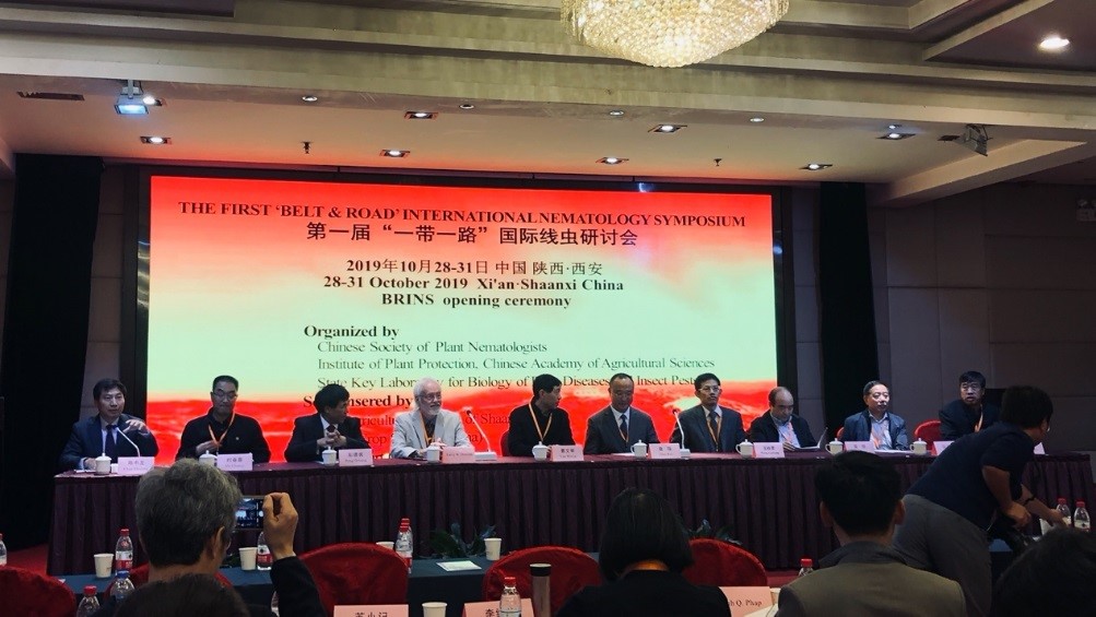 BrightMart Array image117