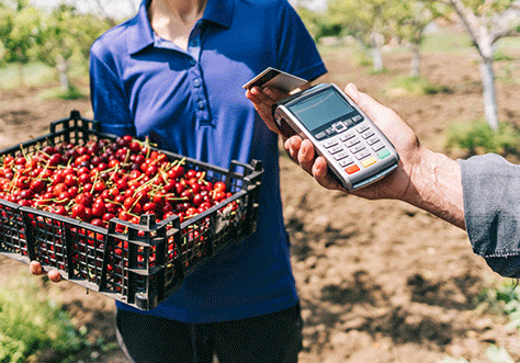 JLTcard Array image72