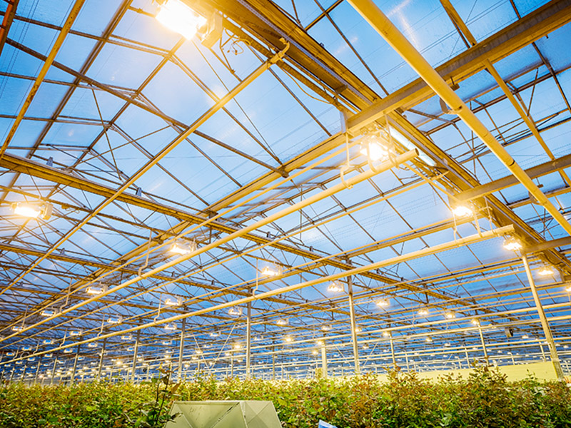 Getian Array image23