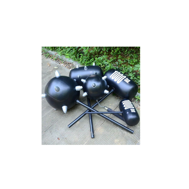 Zhanxing Array image111